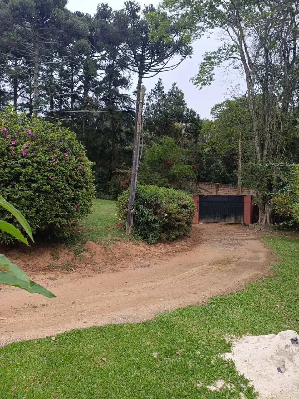 Internação Involuntária